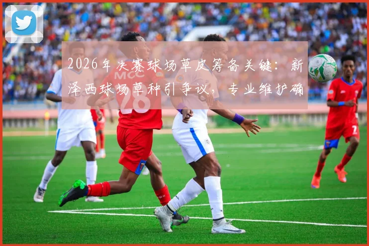 2026年决赛球场草皮筹备关键：新泽西球场草种引争议，专业维护确保准时就绪